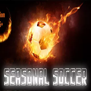 Купить Seasonal Soccer