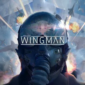 Купить Project Wingman
